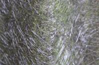 East Runton fibreglass roof work